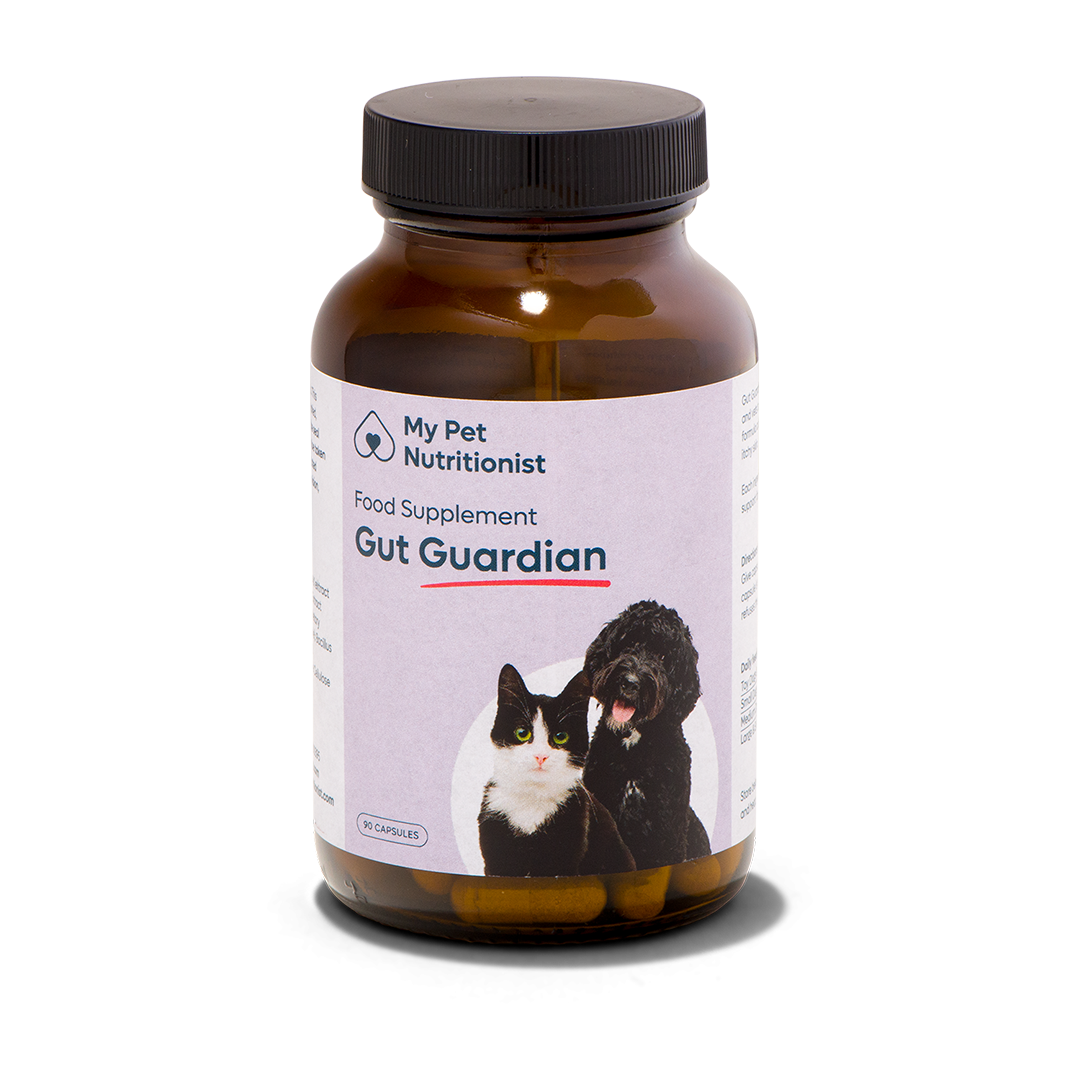 Gut Guardian - 1x Bottle image